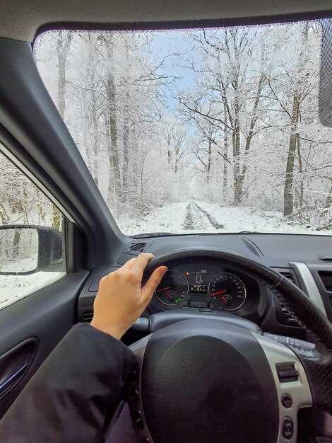 The role of weather in a test drive experience